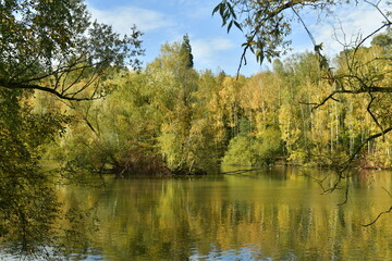 Fototapeta na wymiar La végétation sauvage et bucolique d'automne se reflétant dans les eaux de l'étang au domaine du château de la Hulpe 