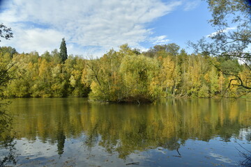 Fototapeta na wymiar La végétation dense et luxuriante en automne se reflétant dans l'étang au domaine du château de la Hulpe 
