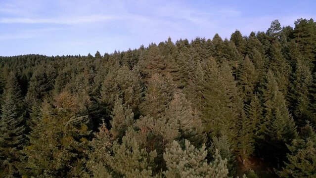 Sakarya Turkey Karagol Highland