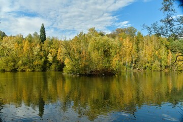 La végétation dense et luxuriante en automne se reflétant dans l'étang au domaine du château de la Hulpe 