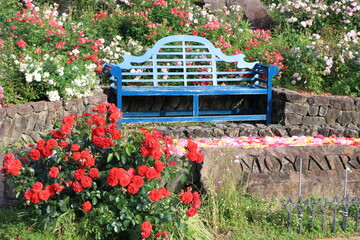 バラに囲まれているベンチ