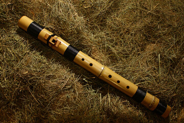 A bamboo flute lies on the grass at night by the light of a fire