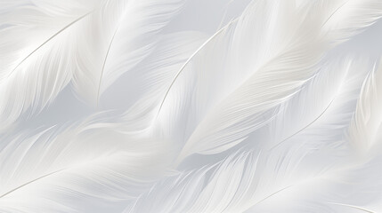 Background of minimalist feathers, soft naturalism, pale grays and whites