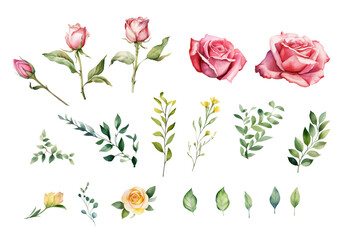 Fototapeta premium Watercolor floral vector illustration. Pink flowers and leaves, grass blades, green foliage. Pink roses, yellow roses, soft borders, garlands, frames. Wedding decoration pattern, fashion, background