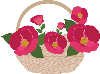 Obraz premium Red peony in basket illustration