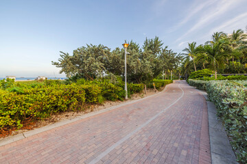 Fototapeta na wymiar View of red path called Walking Street with green tropical plants, along Atlantic Ocean in Miami Beach. USA.