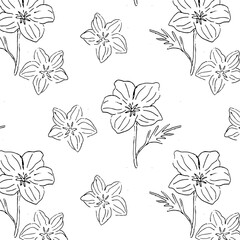 Monochome flower California Poppy seamless pattern