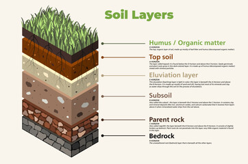 Soil layers (horizons) with names and explanations. Isometric (3d) infographic vector illustration - obrazy, fototapety, plakaty