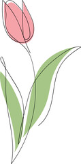 Flower line art illustration