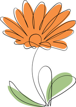 Sunflower line art illustration