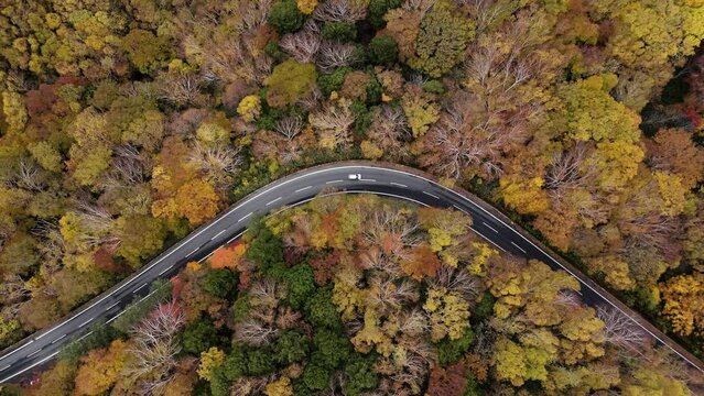 Aerial footage of the road among colorful Autumn scene in Nagano prefecture, Japan