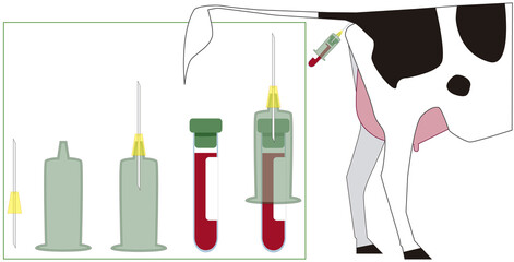 Needle and hood for blood collection tube with cap color green indicating it contains heparin anticoagulant and bovine blood extraction isolated