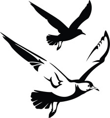 flying seagull vector design - black and white bird relistic outline and silhouette