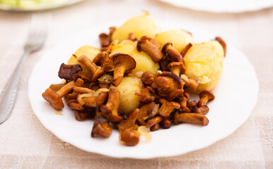 Delicious fried chanterelle mushrooms with new potatoes on a white plate