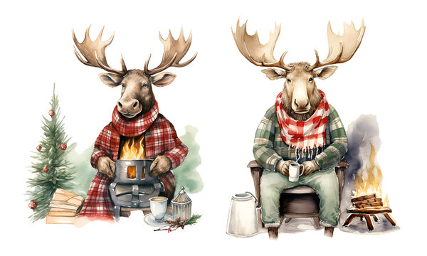 Christmas elk watercolor clipart illustration with isolated background