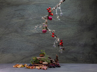 Ikebana of autumn flowers. Bonsai in a walnut shell.