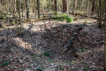 Old shallow artificially dug and turfed hole in the forest