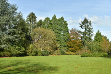 Variété d'arbres en automne au domaine du château de la Hulpe 