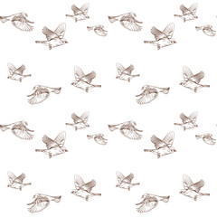 A flock of sparrows on a white background. Birds vector illustration. Seamless pattern.