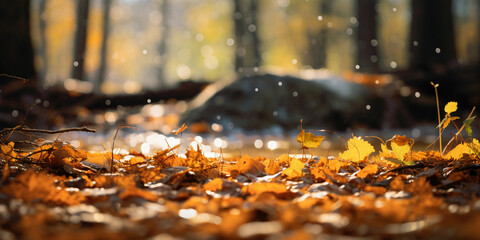 Autumn breeze, leaves falling in a colorful forest, dappled sunlight, natural lighting