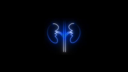 Neon kidney icon in a line style for humans. symbol for the urinary system component.  kidney-line symbol.