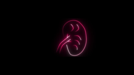 Neon kidney icon in a line style for humans. symbol for the urinary system component.  kidney-line symbol.