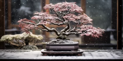 Foto op Canvas Bonsai tree, deciduous species, bare branches, winter theme, falling snowflakes, cool tones © Marco Attano