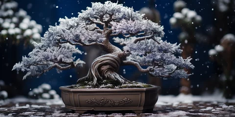 Schilderijen op glas Bonsai tree, deciduous species, bare branches, winter theme, falling snowflakes, cool tones © Marco Attano