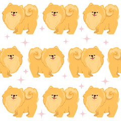 Cute Pomeranian Spitz dog, seamless vector pattern