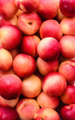 Food background: lots of mouth-watering red nectarines