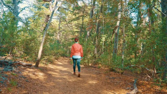 Woman walking on an autumn trail
