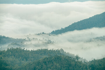 Foggy mountain landscape. Aerial view of dark green trees in tropical mountain forests and fog in winter. Fog covered dark green forest landscape. Nature scene of trees. Green environment background.