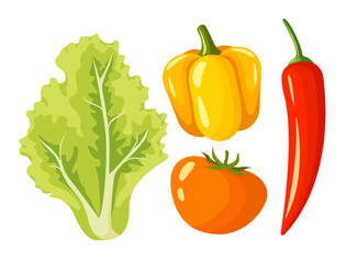 Fresh vegetables for salad collection. Veggies and greens set. Tomato, bell pepper, chili pepper and lettuce, on white background