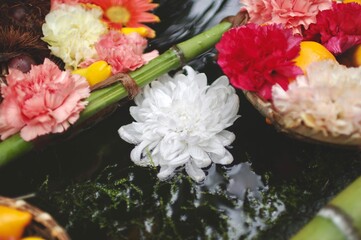 和風イメージ〜水に浮かぶ花