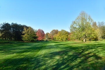 Fototapeta na wymiar la grande pelouse entre les variétés d'arbres en automne à l'arboretum de wespelaar près de louvain
