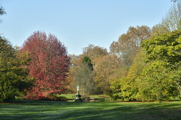 Fototapeta na wymiar La beauté de l'automne des feuillages des arbres à l'arboretum de Wespelaar près de Louvain