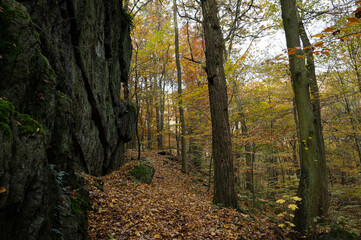 Herbstwald im steilen felsigen Schwarzatal bei Bad Blankenburg, Thüringen