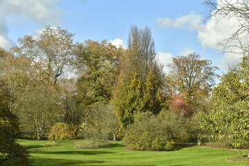 Les multiples variétés des arbres en automne à l'arboretum de Wespelaar à Haacht 