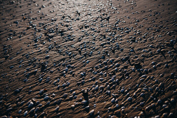 rusty texture