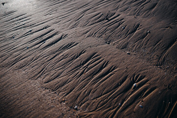 texture of sand