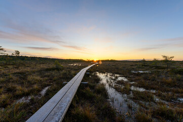 Pictures from Finlands nature

