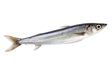Naklejka premium anchovy isolated on white