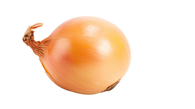 Onion isolated on transparent background, image with background removed, created with Generative Ai technology.