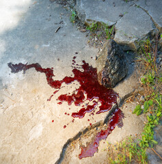 Bloodied stone lies on the ground