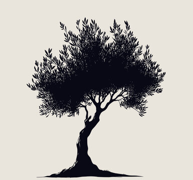 Olive tree silhouette synbol isolated for printing. Albero di olivo per etichette, marchio, brand, extra vergine. Black and white.