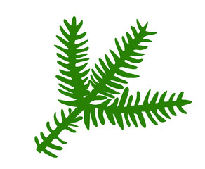 Pine tree branch silhouette. Design element PNG
