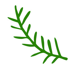 Pine tree branch silhouette. Design element PNG
