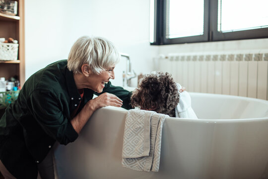 Senior woman drying dog with towel in bathroom after wash