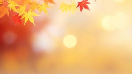 Naklejka na ściany i meble web banner design for autumn season and end year activity with red and yellow maple leaves with soft focus light an bokeh background, copy space, 16:9