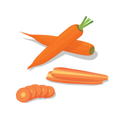 Set of carrot illustration flat vector on white background: Whole carrots, carrot slices. Root vegetables. Hand drawn. Cartoon style.